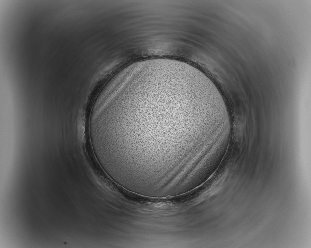 X0000095960446200801251153