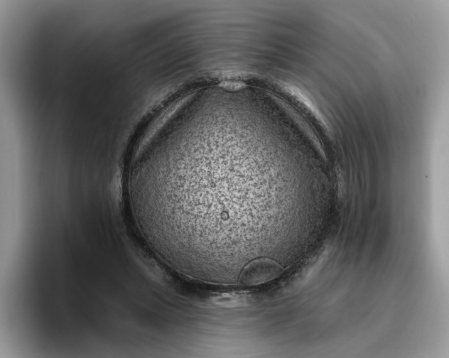 X0000095960447200801251153