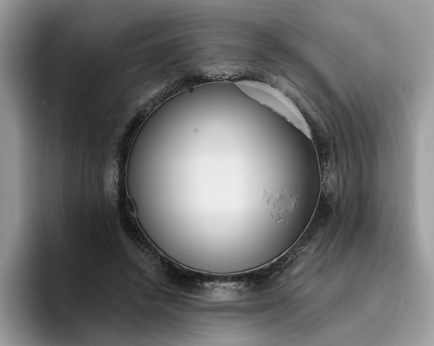 X0000095960448200801251153