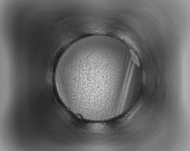 X0000095960449200801251153