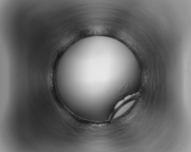 X0000095960450200801251153