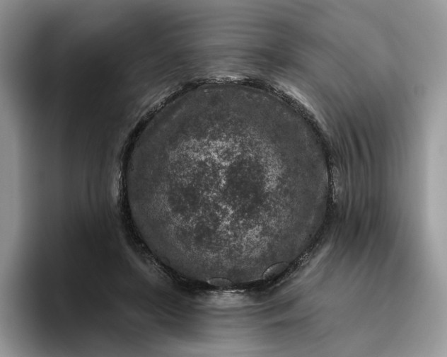 X0000095960451200801251153