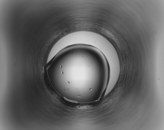 X0000095960452200801251153