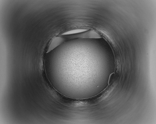 X0000095960453200801251153