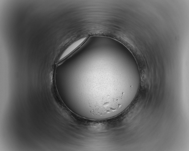 X0000095960454200801251153