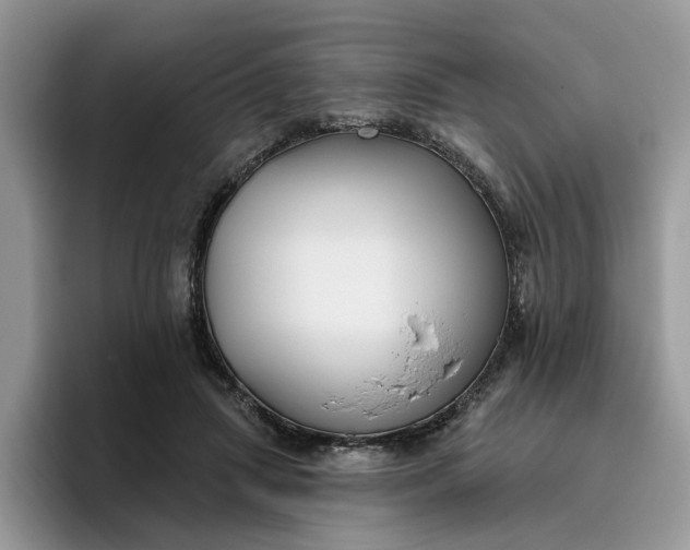 X0000095960455200801251153