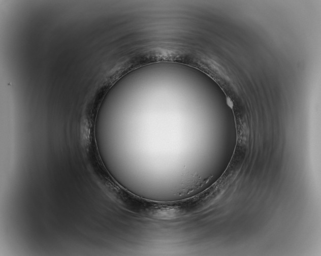 X0000095960456200801251153