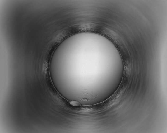 X0000095960458200801251153