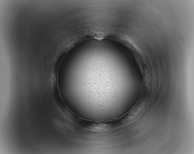 X0000095960459200801251153