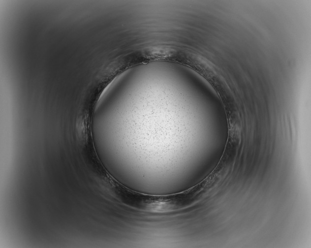 X0000095960460200801251153