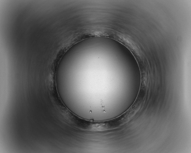 X0000095960461200801251153