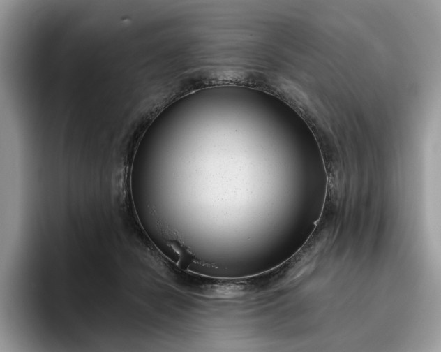 X0000095960462200801251153