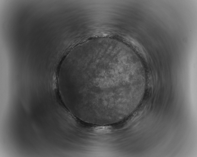 X0000095960465200801251153