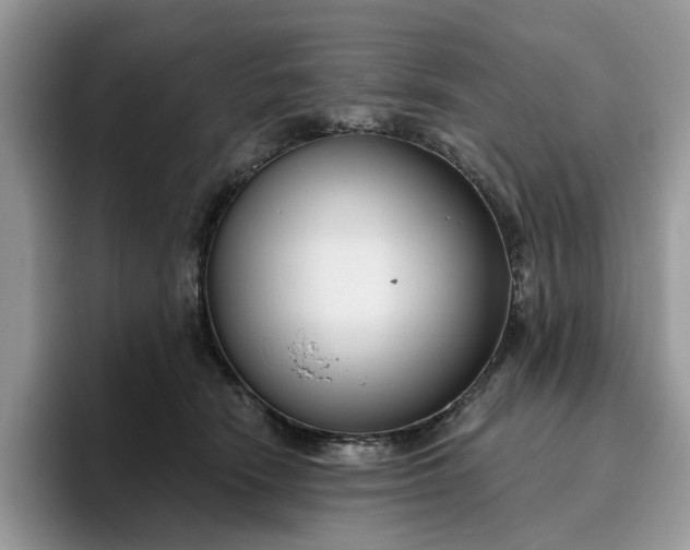 X0000095960466200801251153