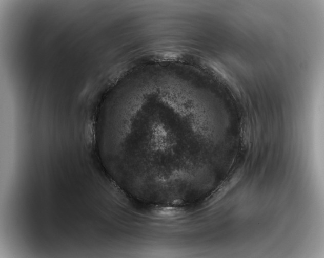 X0000095960467200801251153