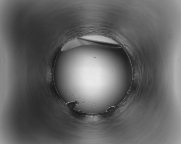 X0000095960469200801251153