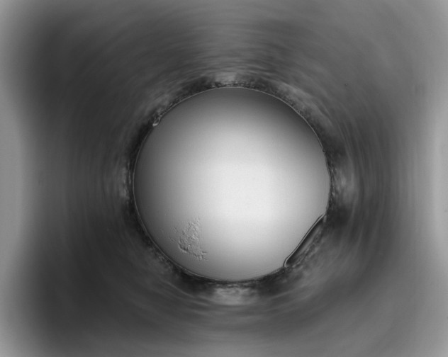 X0000095960470200801251153