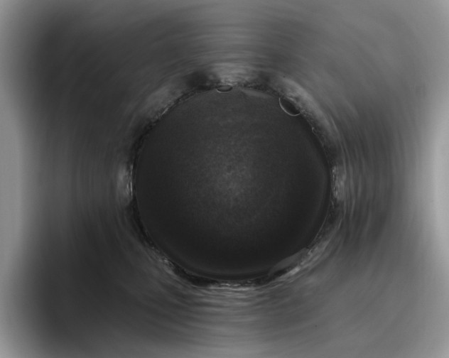 X0000095960471200801251153