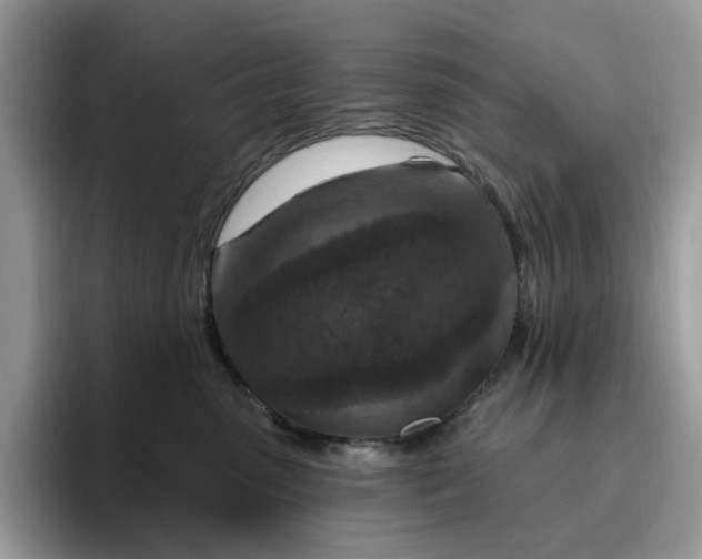 X0000095960475200801251154