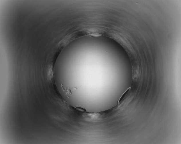 X0000095960478200801251154