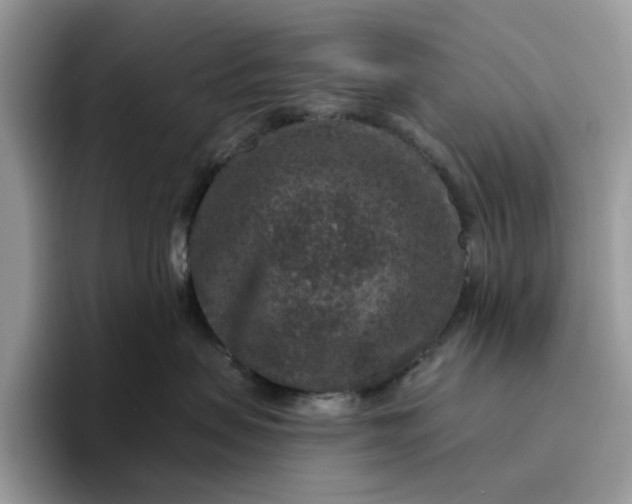 X0000095960479200801251154