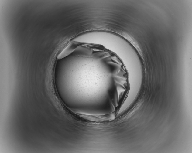 X0000095960481200801251153