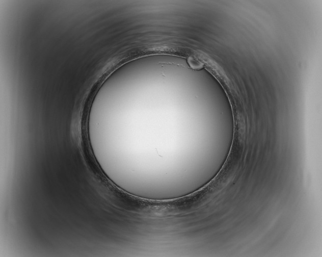 X0000095960482200801251153