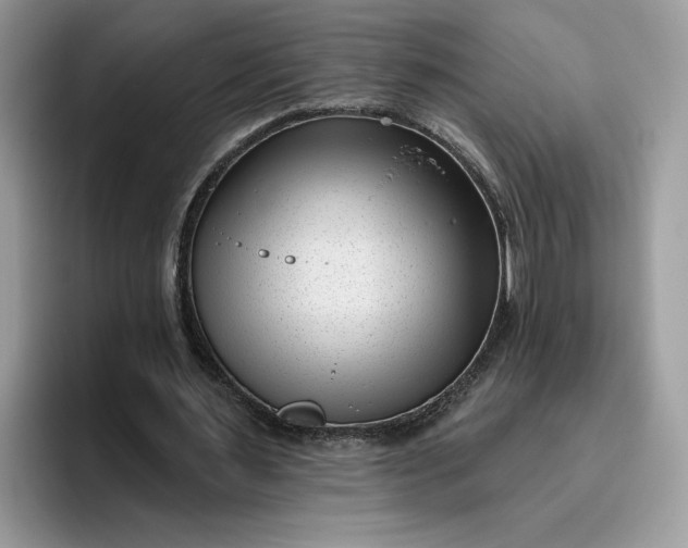 X0000095960483200801251153