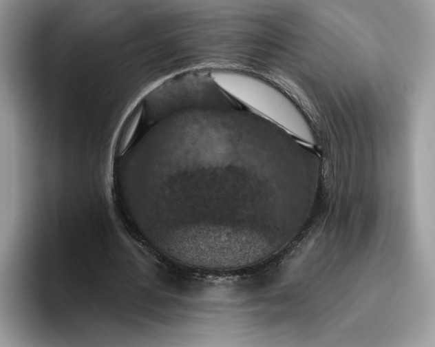 X0000095960484200801251153