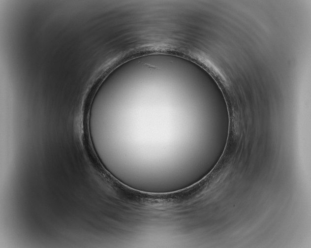 X0000095960486200801251153