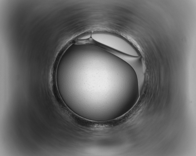 X0000095960487200801251153