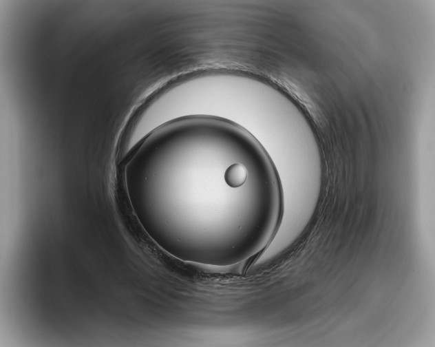 X0000095960488200801251153