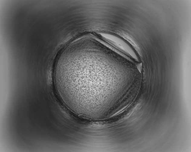 X0000095960489200801251153