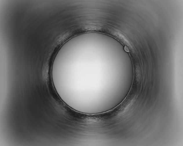 X0000095960490200801251153