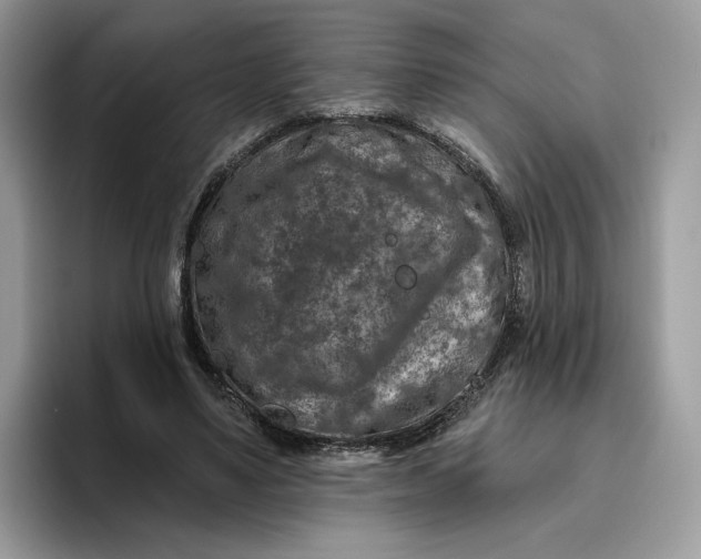 X0000095960491200801251153