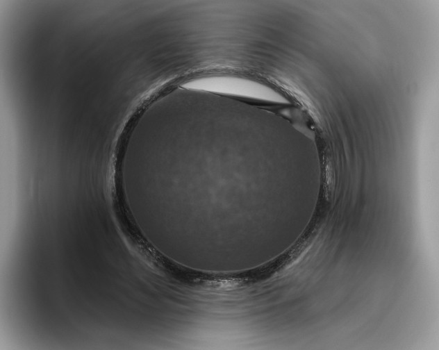 X0000095960492200801251153