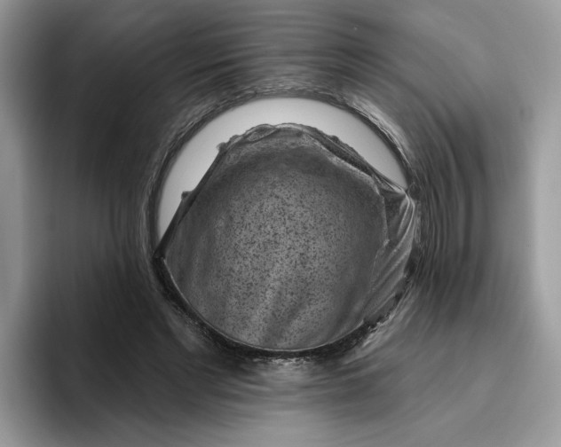 X0000095960493200801251153