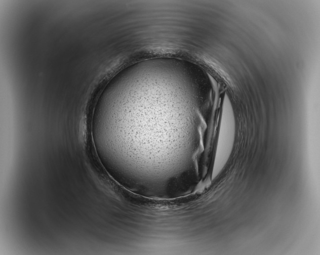 X0000095960494200801251153