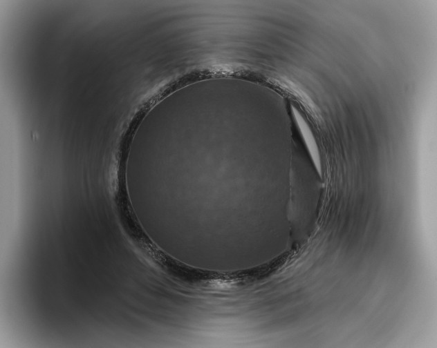 X0000095960496200801251153