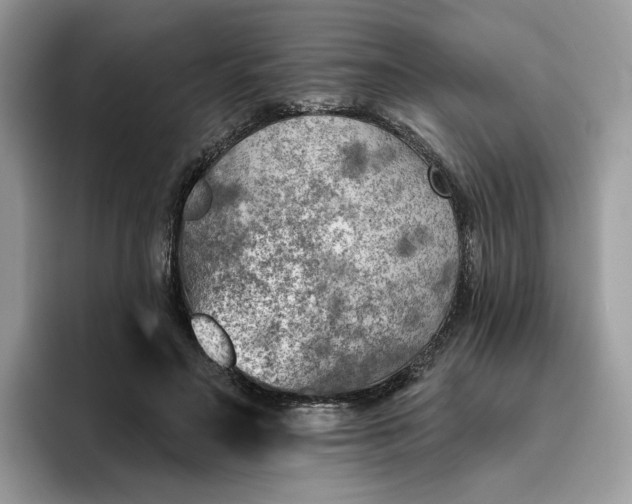 X0000095960499200801251153