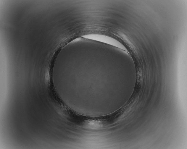 X0000095960500200801251153