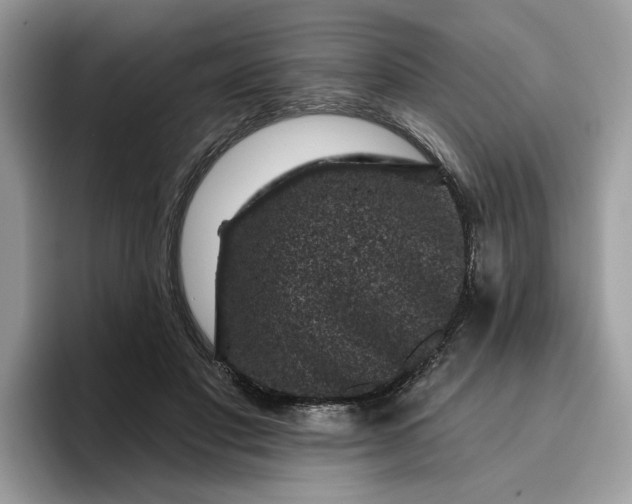 X0000095960501200801251153