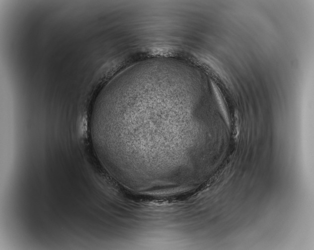 X0000095960502200801251153