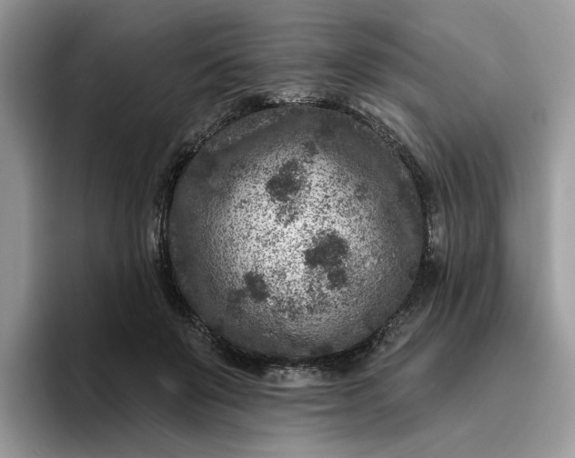 X0000095960503200801251153