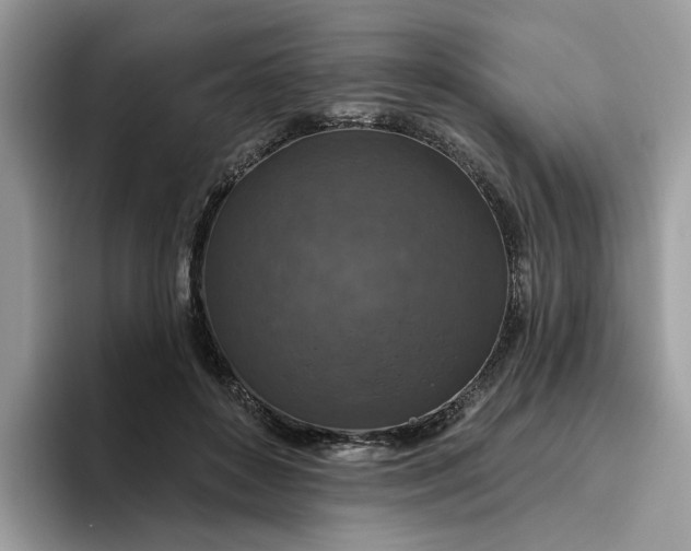 X0000095960504200801251153