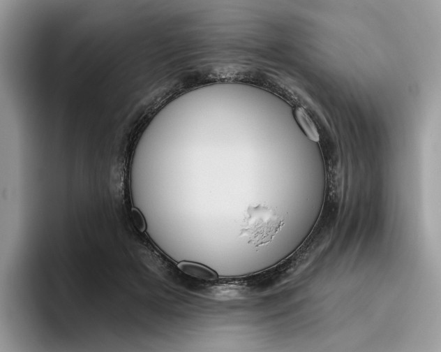 X0000095960505200801251153