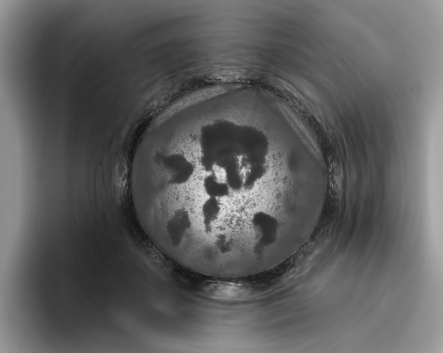 X0000095960507200801251153