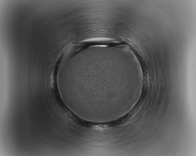 X0000095960508200801251153