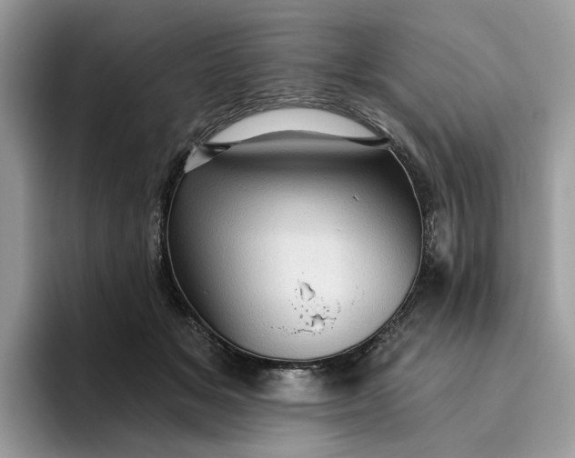 X0000095960509200801251153