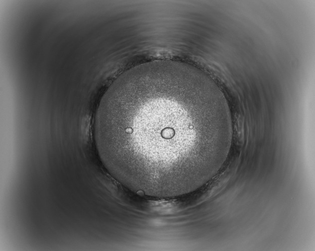 X0000095960511200801251153